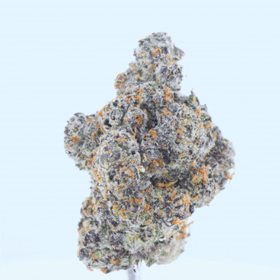 Bulk Exotic Flower