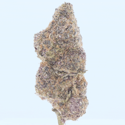 Gelato 45