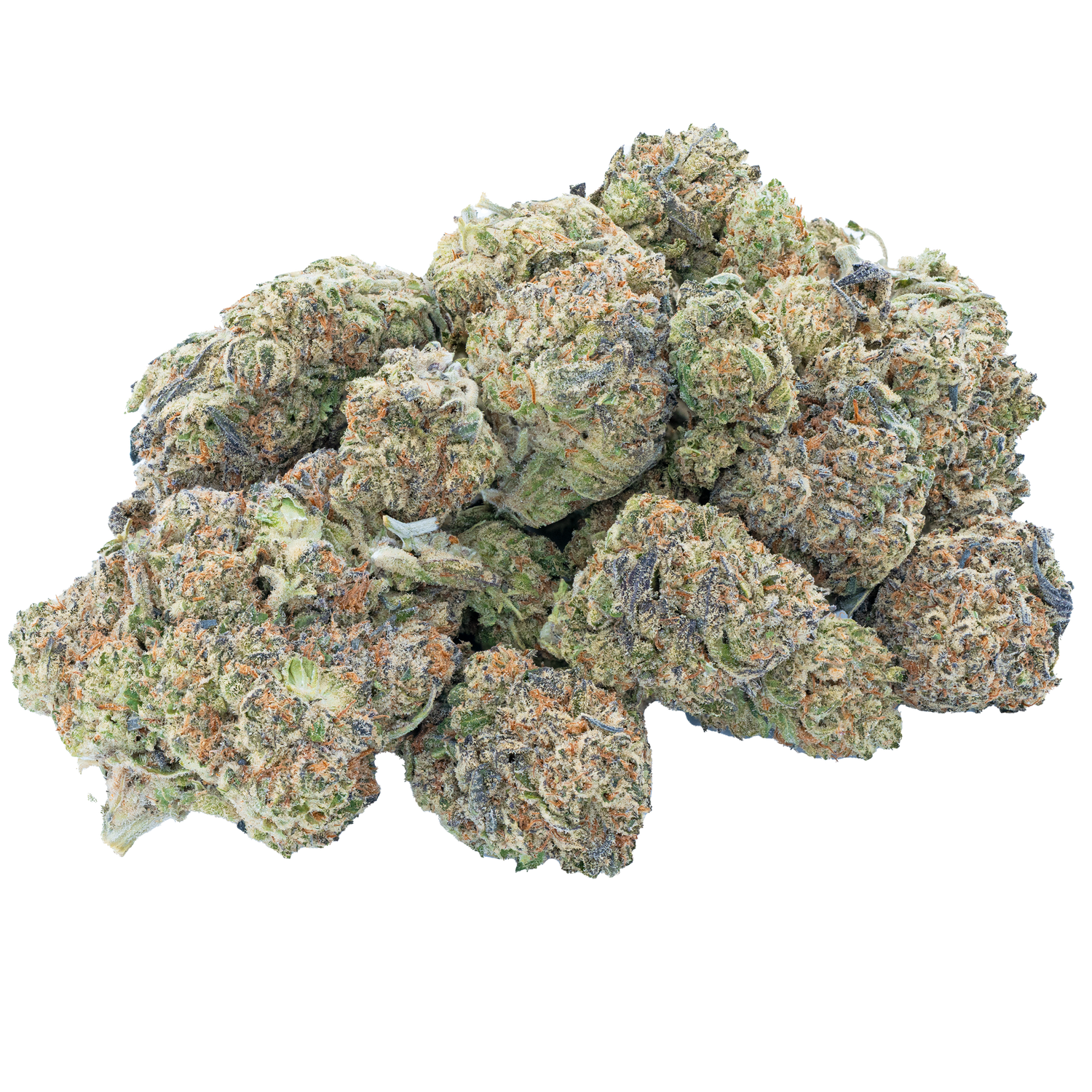 Bulk Discount Indoor Flower