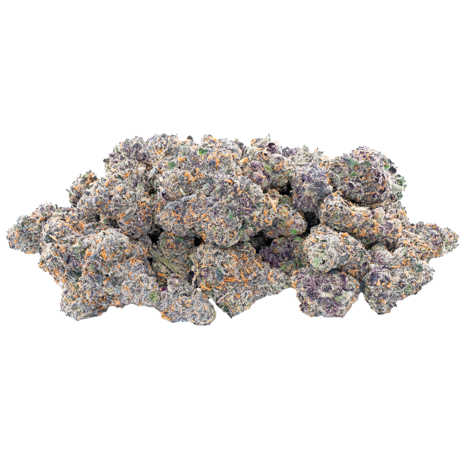 Bulk Exotic Flower
