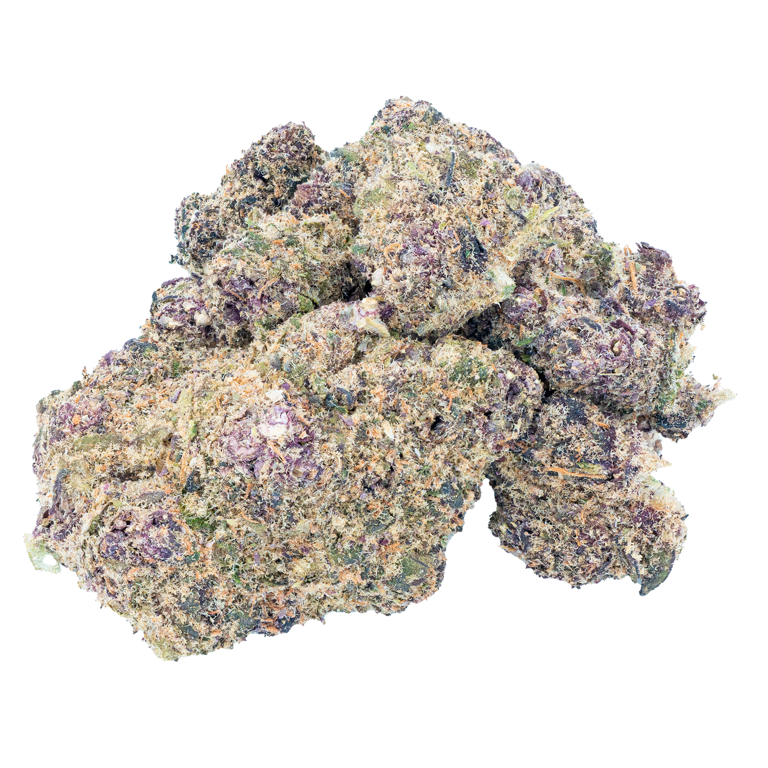 Gelato 45