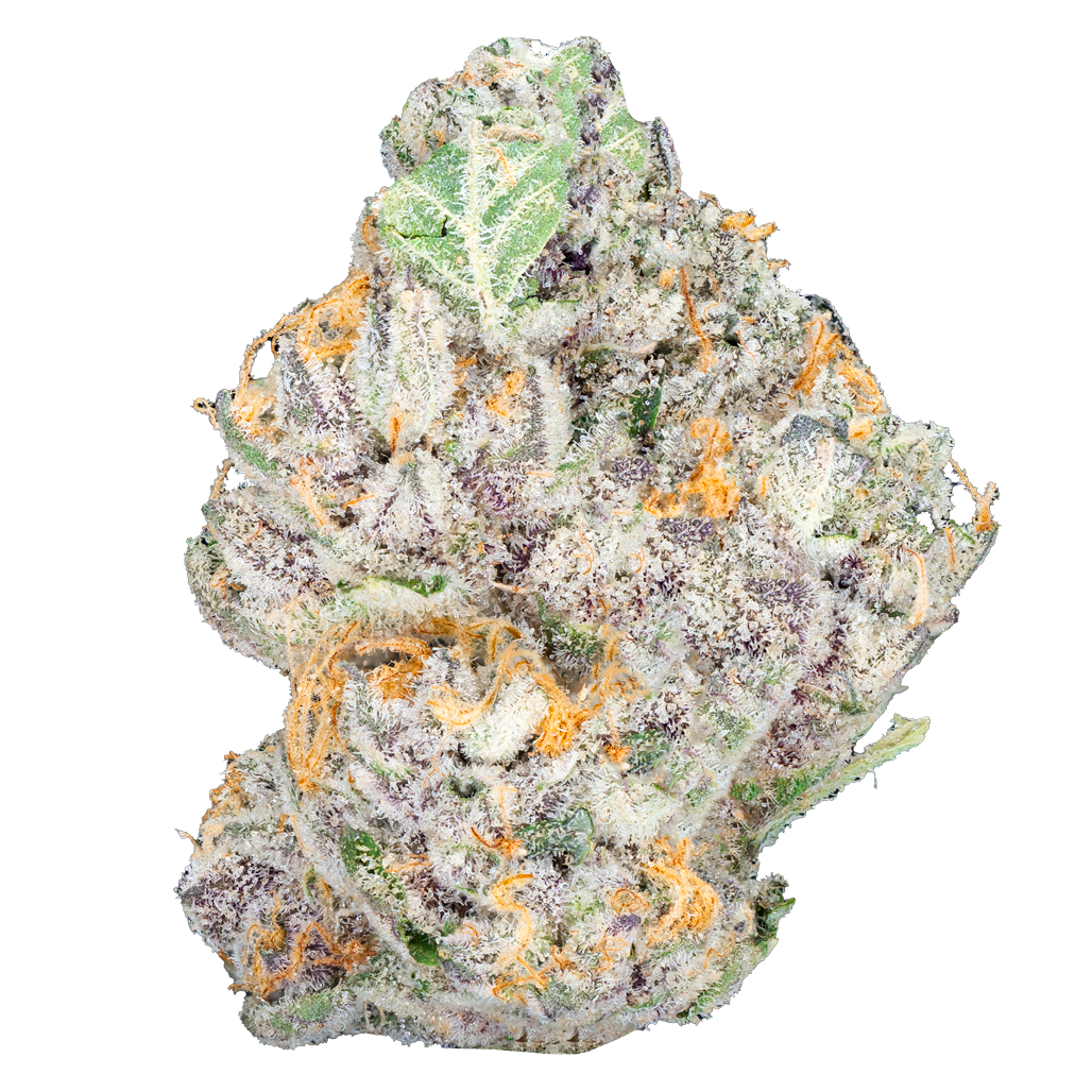 Bulk Super Exotic Flower