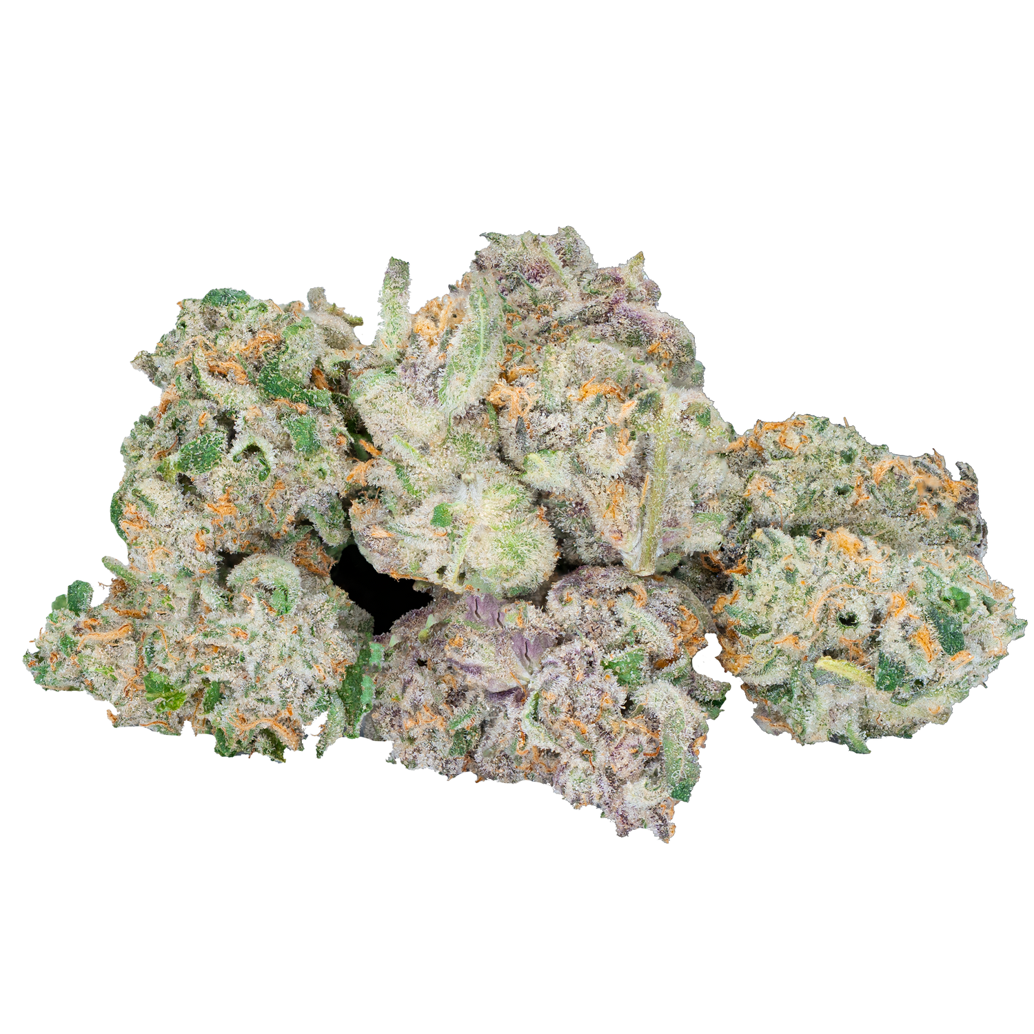 Bulk Super Exotic Flower