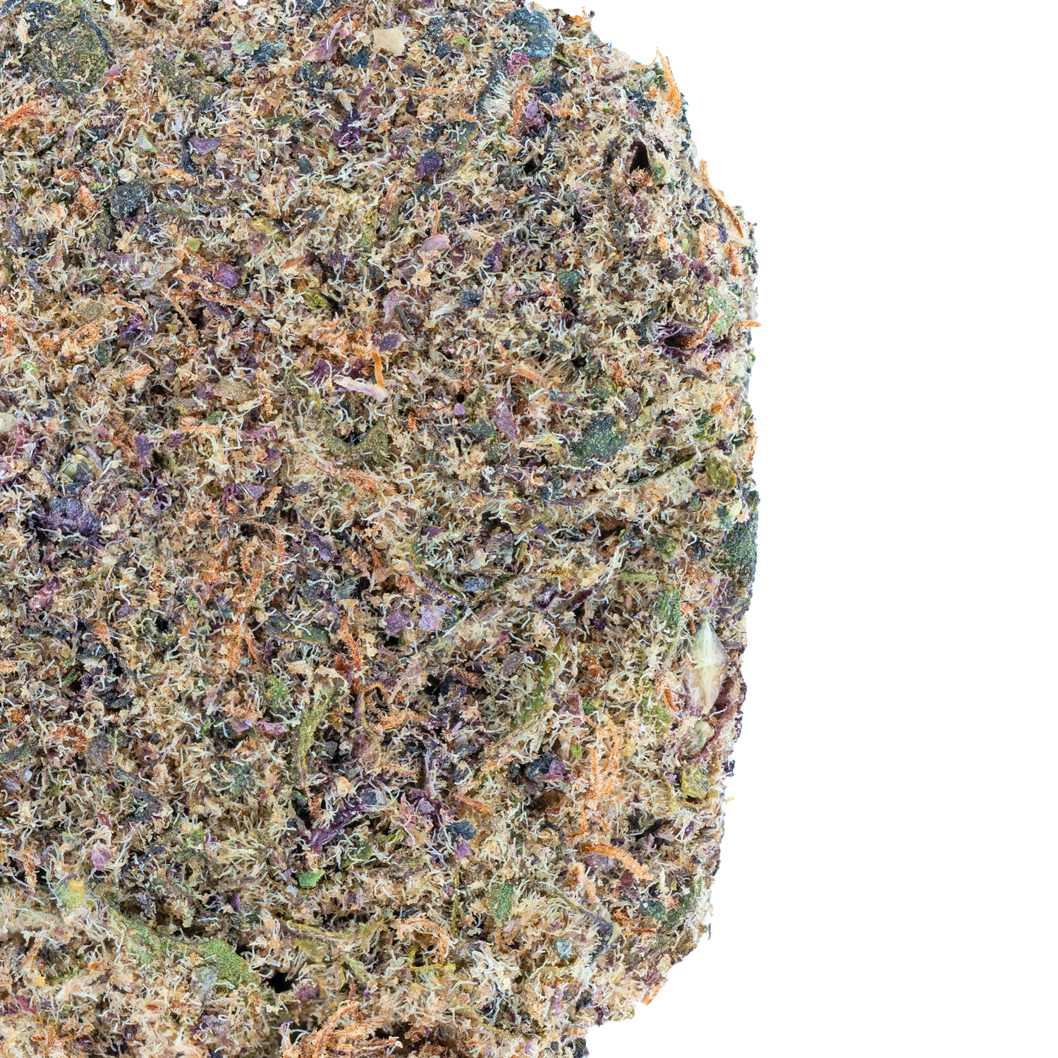 Gelato 45