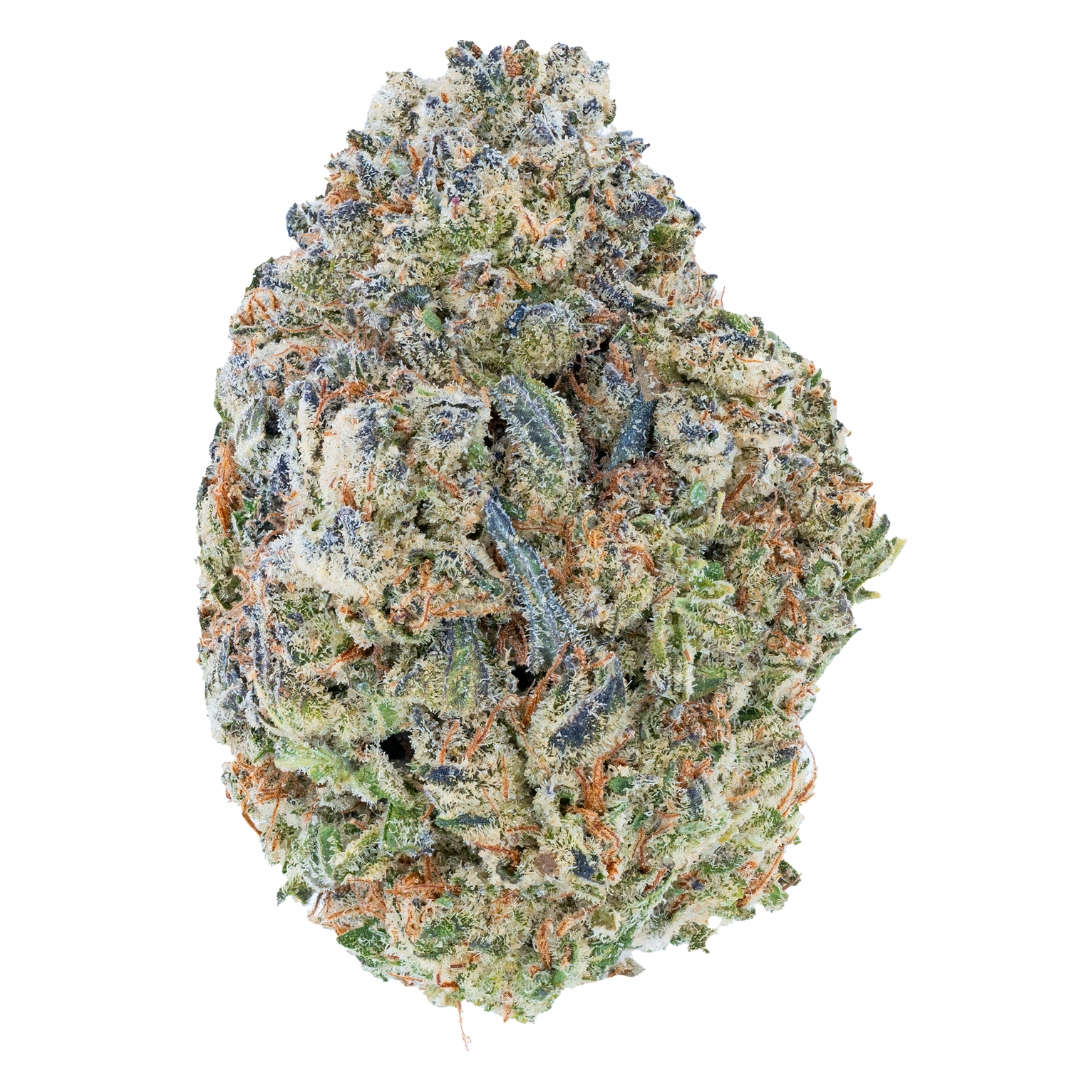 Bulk Discount Indoor Flower