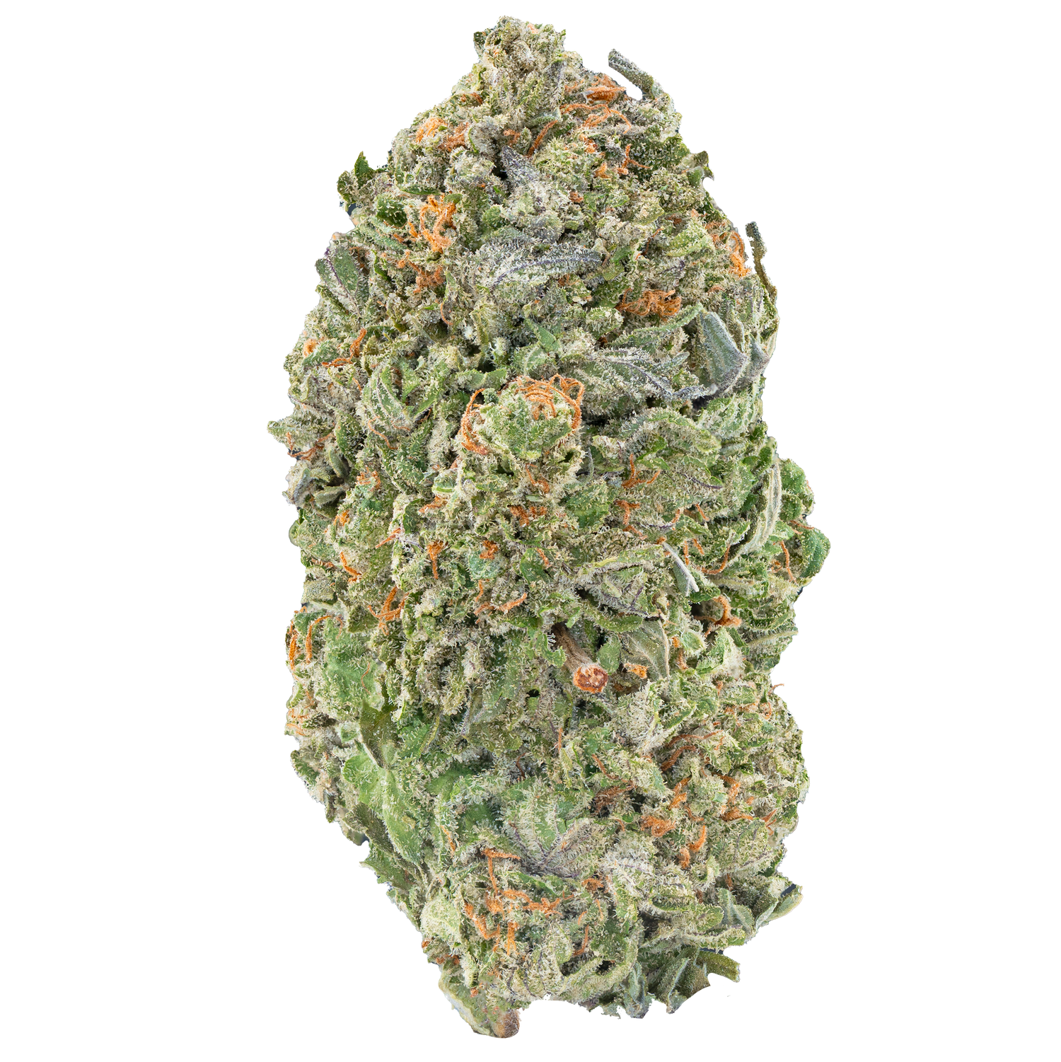 Bulk MixLight Flower