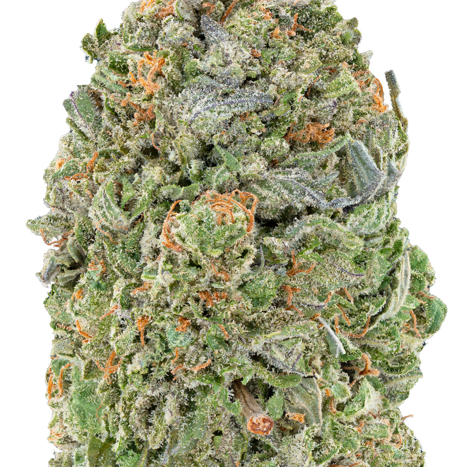 Bulk MixLight Flower