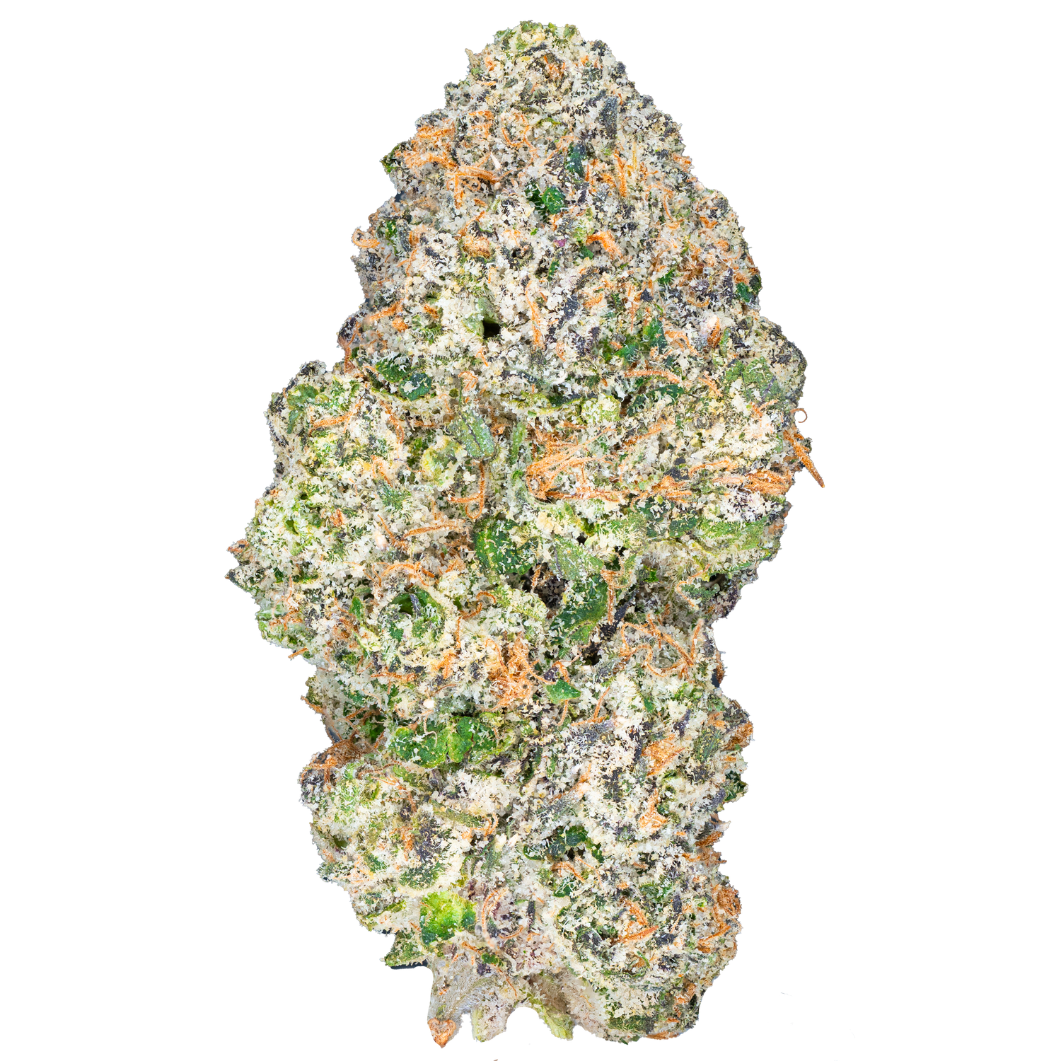 Bulk Indoor Flower