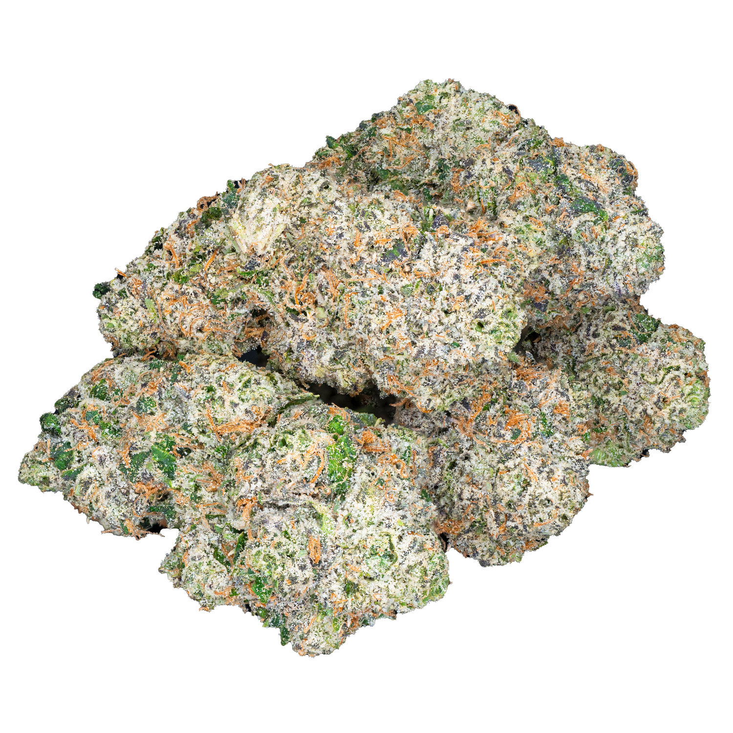 Bulk Indoor Flower