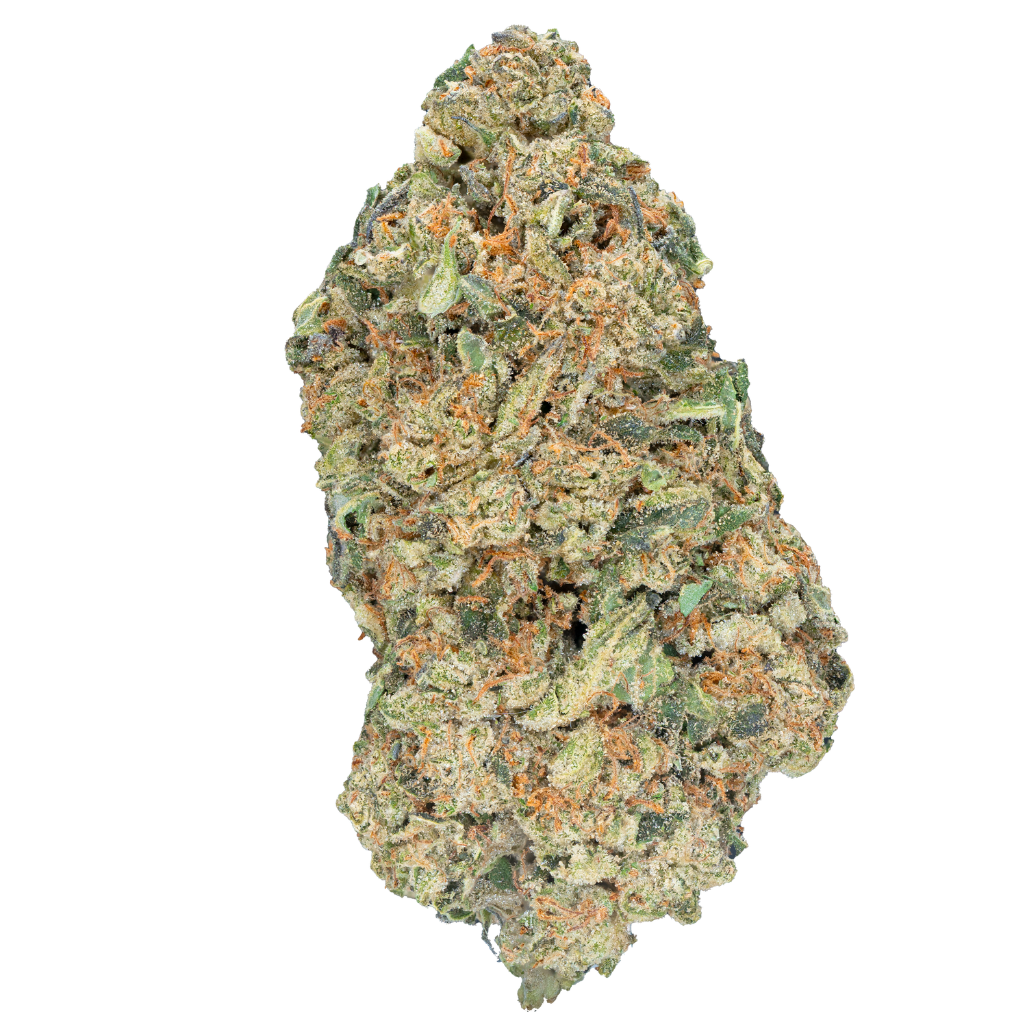 Bulk Greenhouse Flower