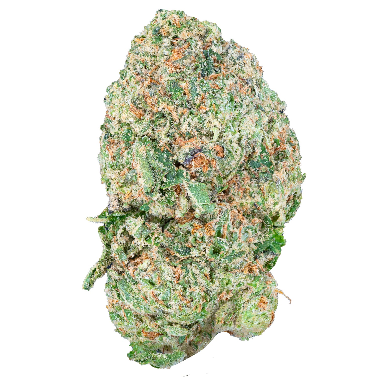Gelato 45