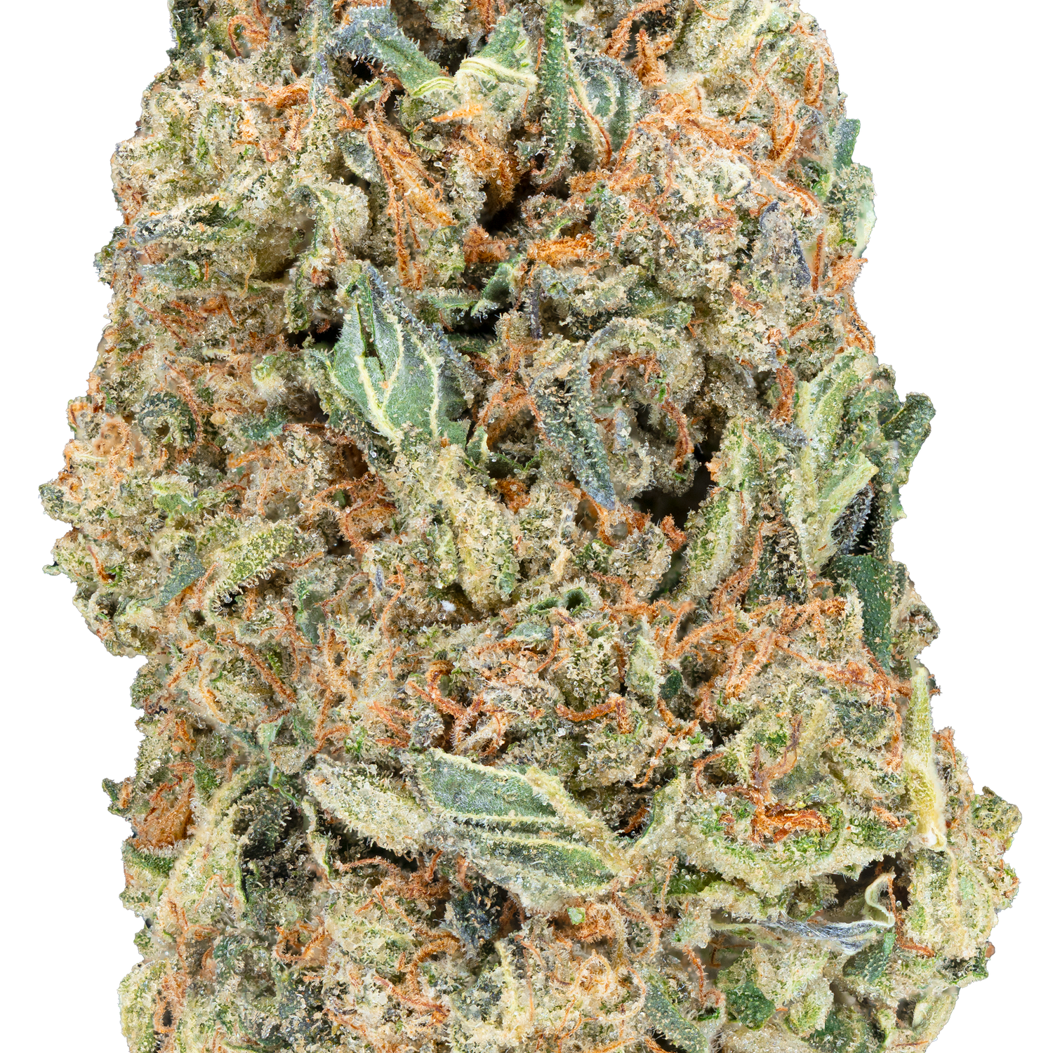 Bulk Greenhouse Flower