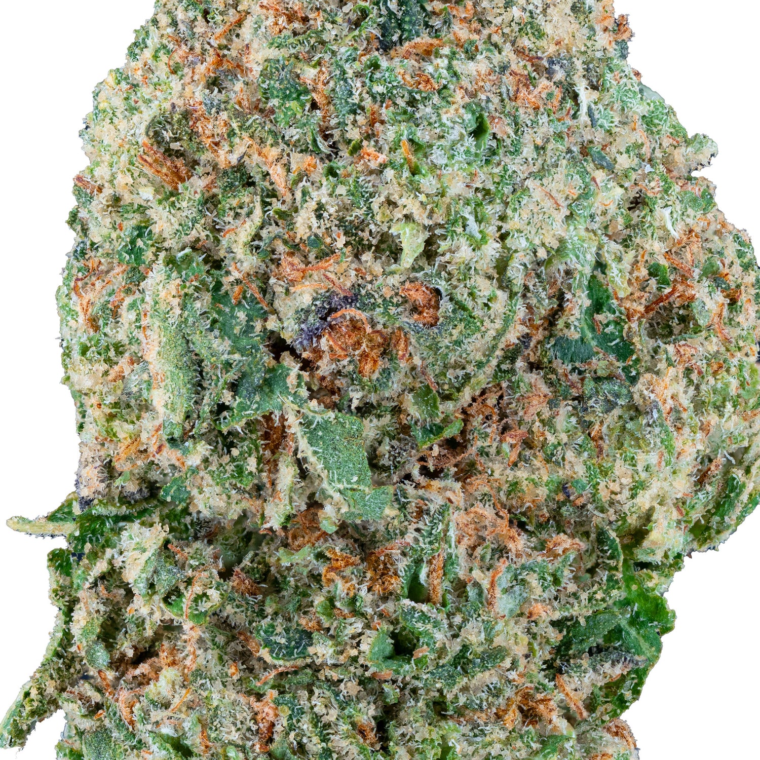 Gelato 45