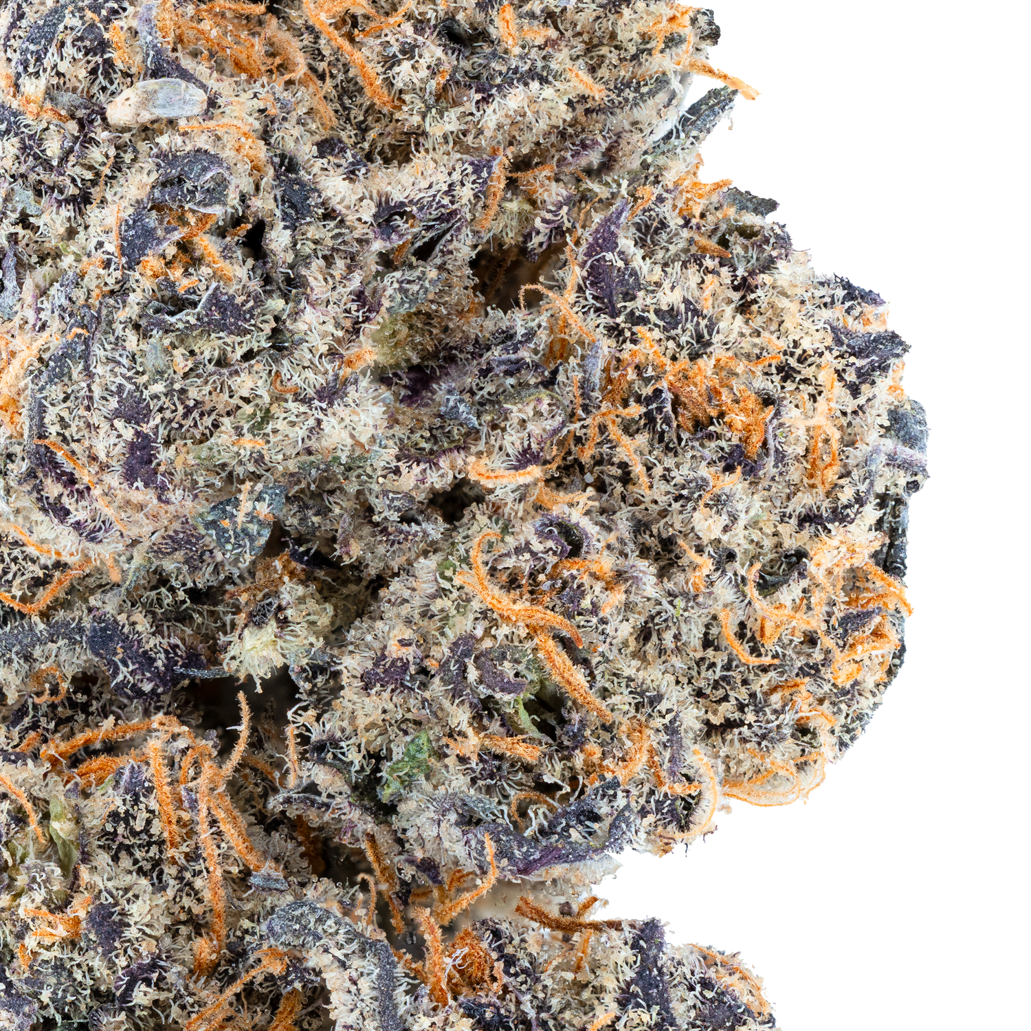 Blue Cherry Gelato