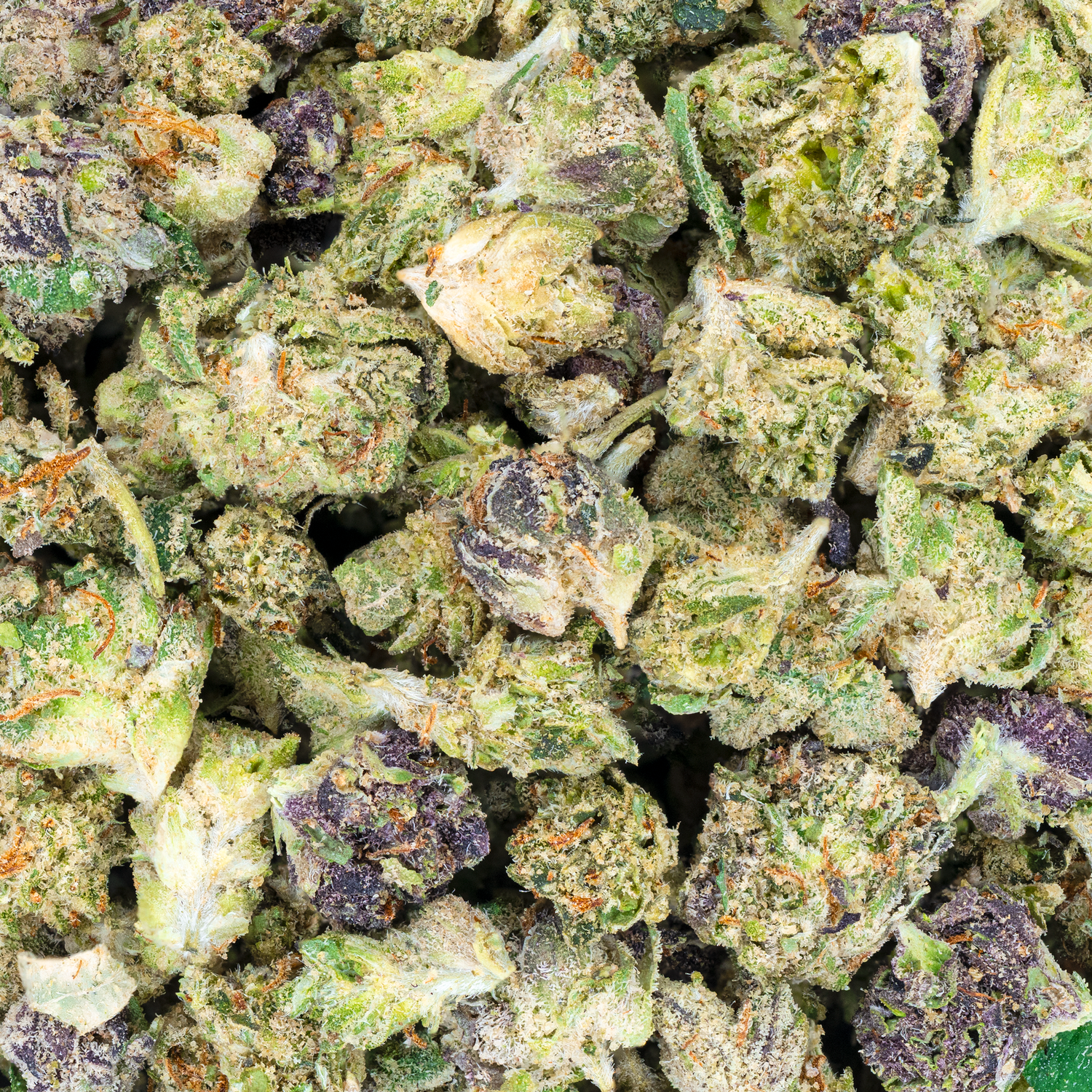 Bulk Indoor Micros