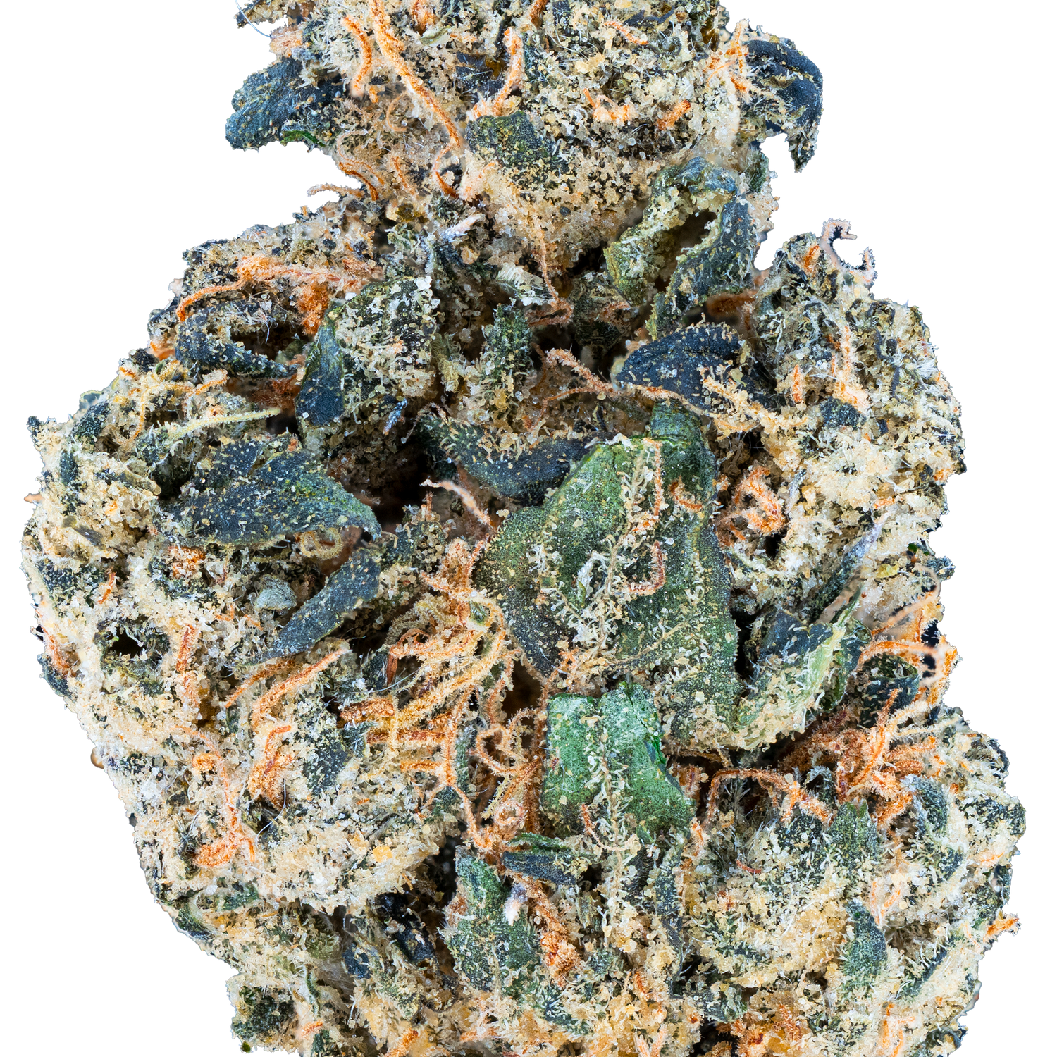 Bulk Mixlight Smalls