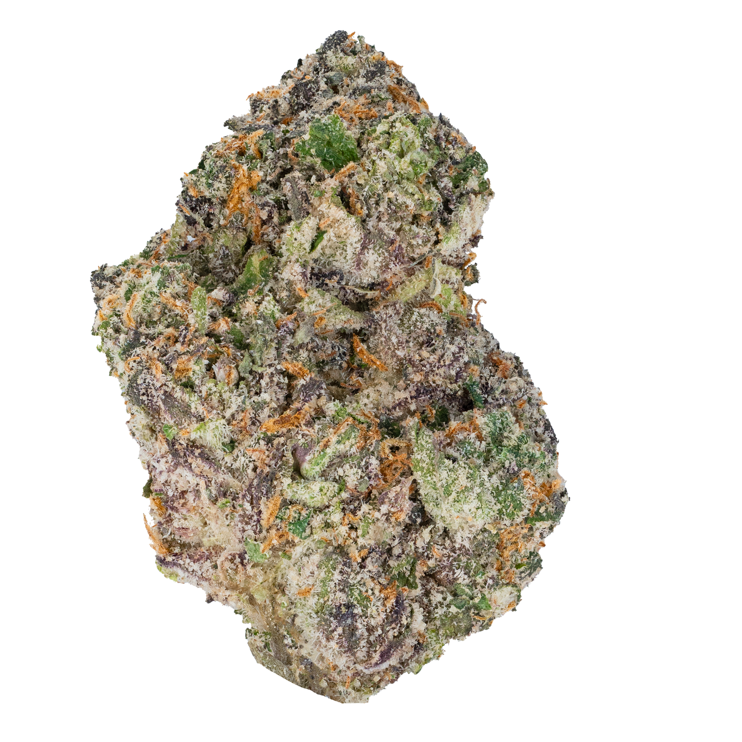Gelato 45