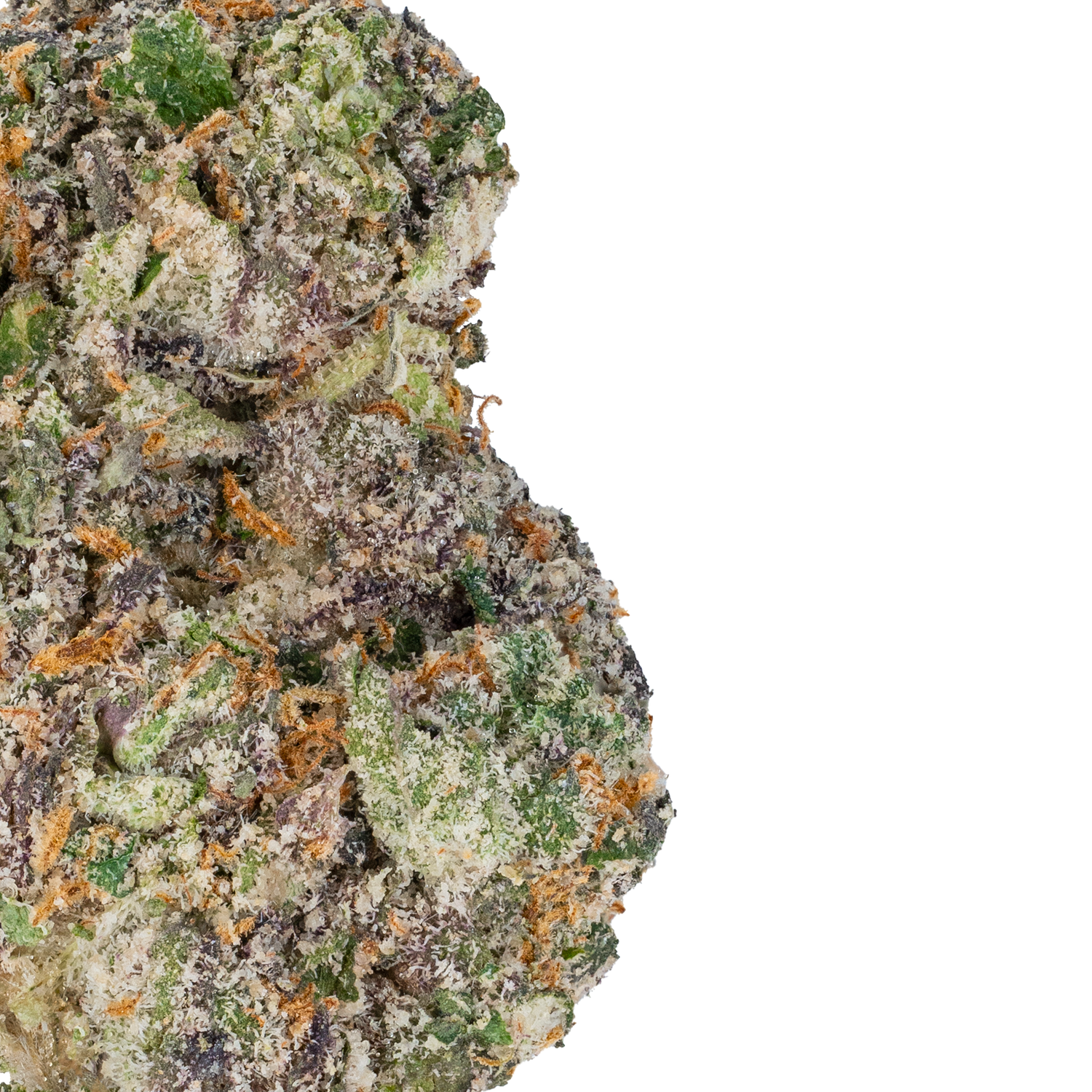 Gelato 45