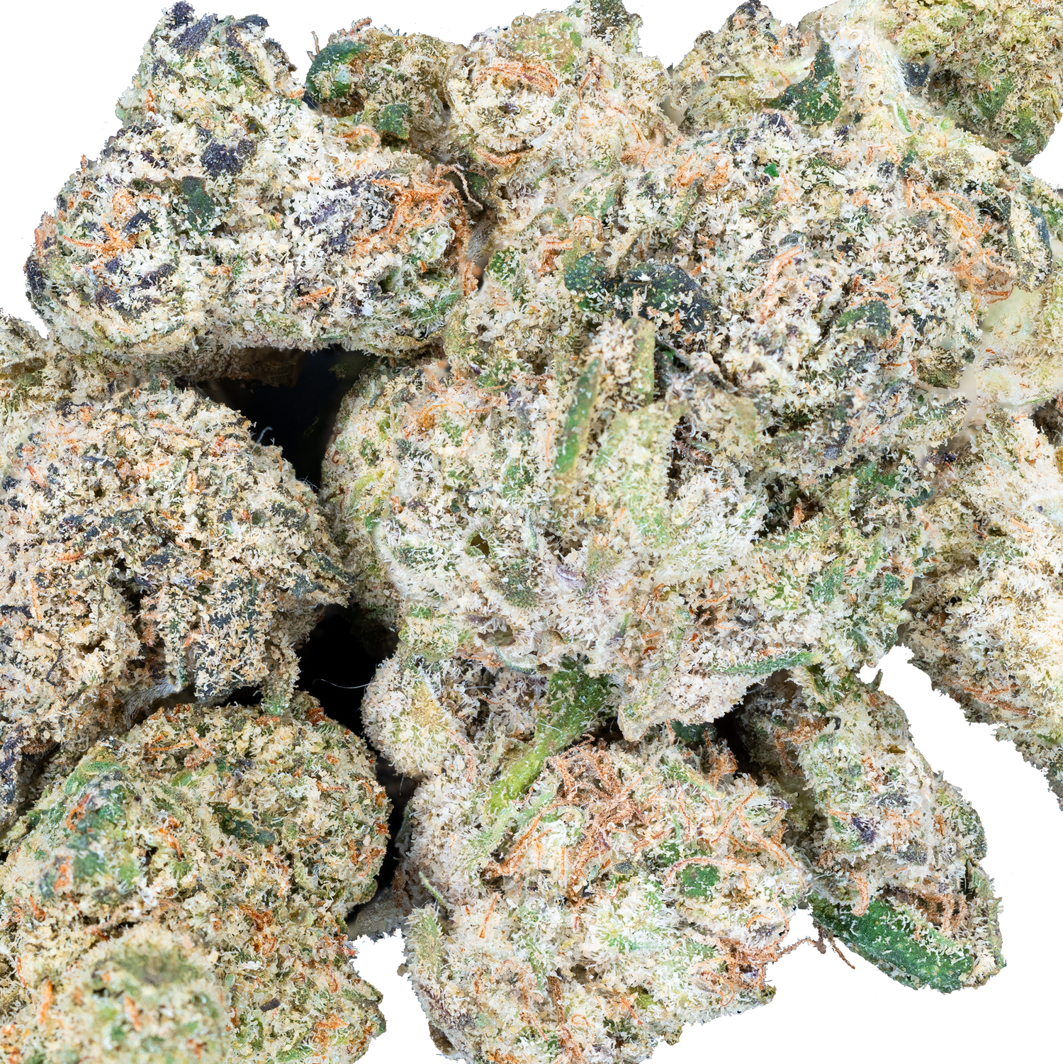 Bulk Super Exotic Smalls