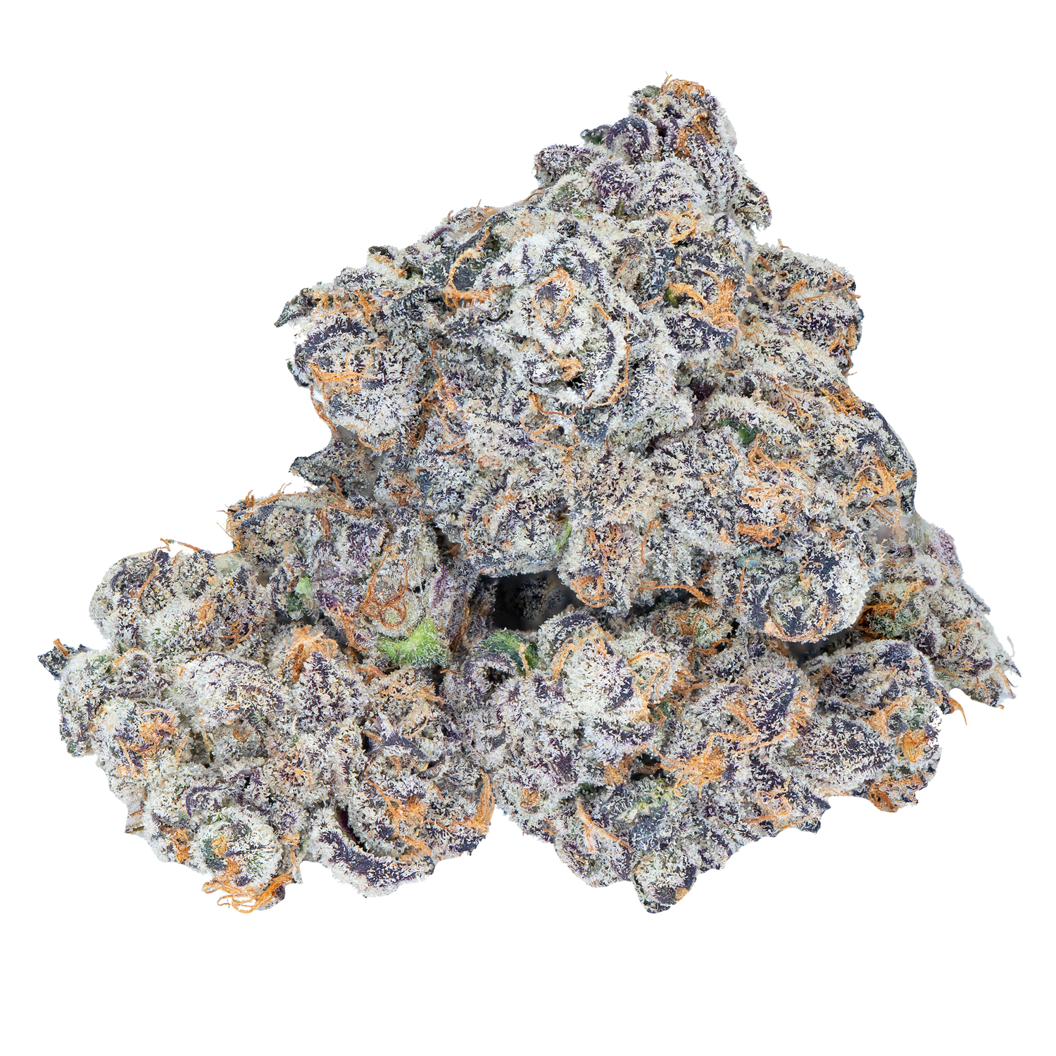 Bulk Super Exotic Flower