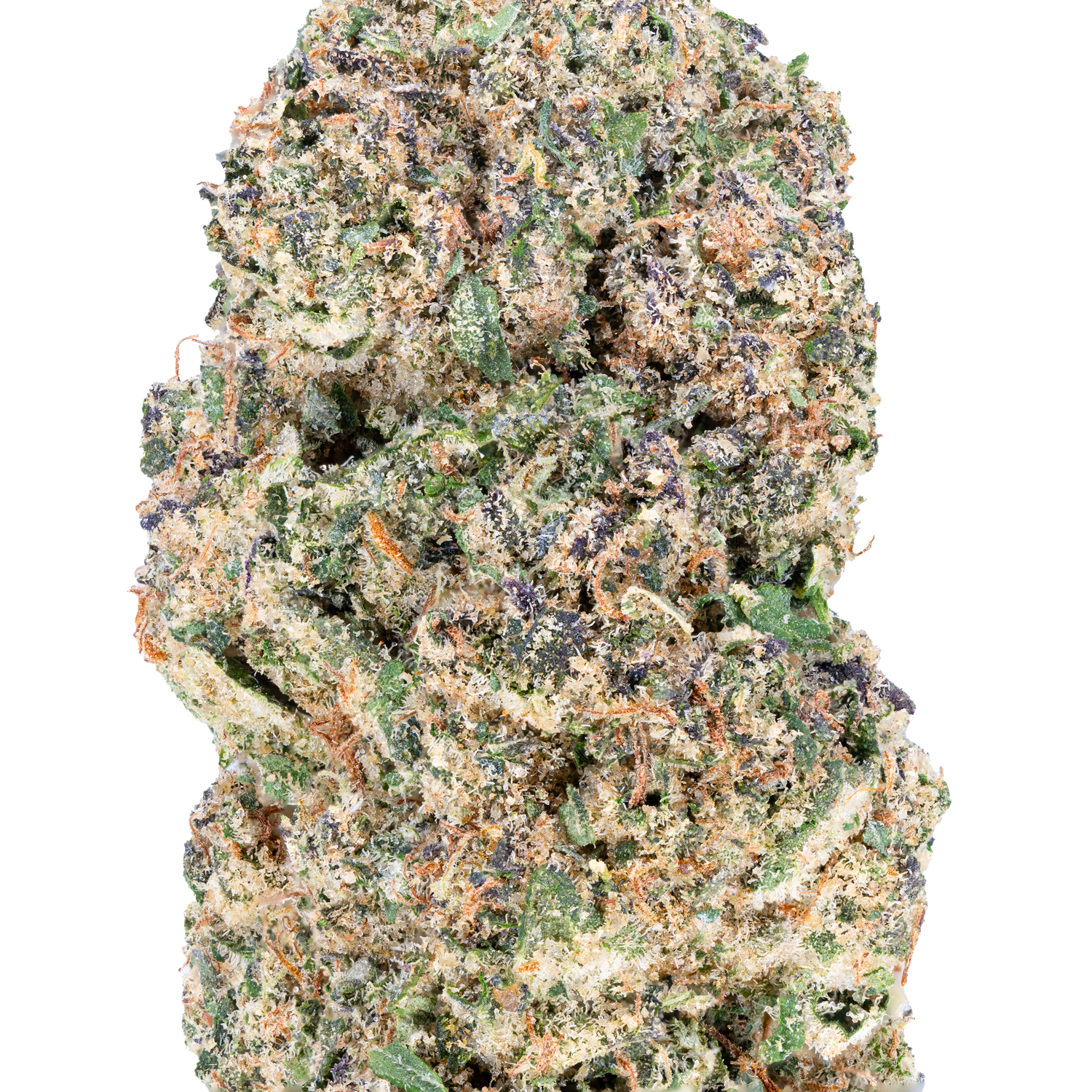 Bulk Greenhouse Flower