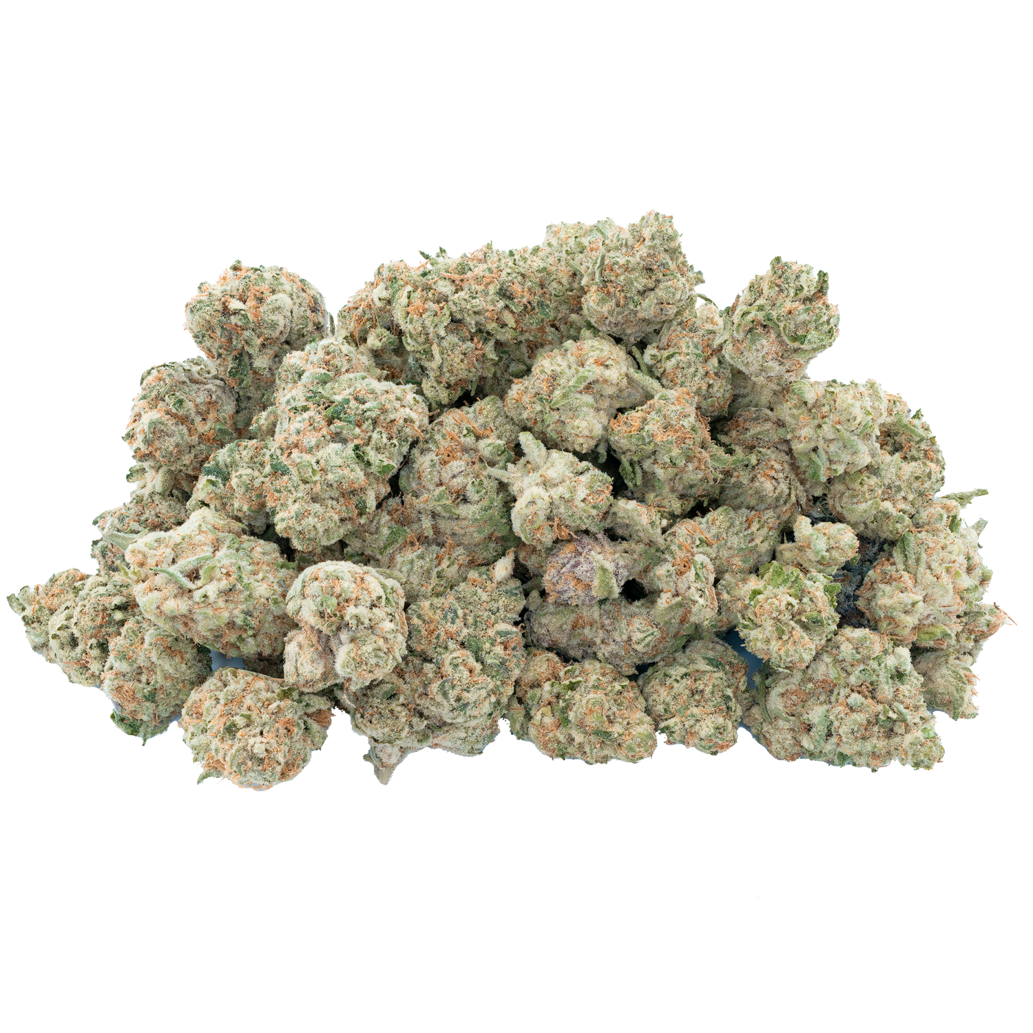 Bulk Indoor Flower