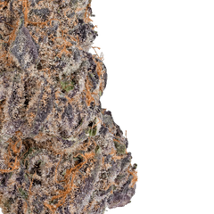 LOWEZ - Blue Cherry Gelato - Bay Smokes