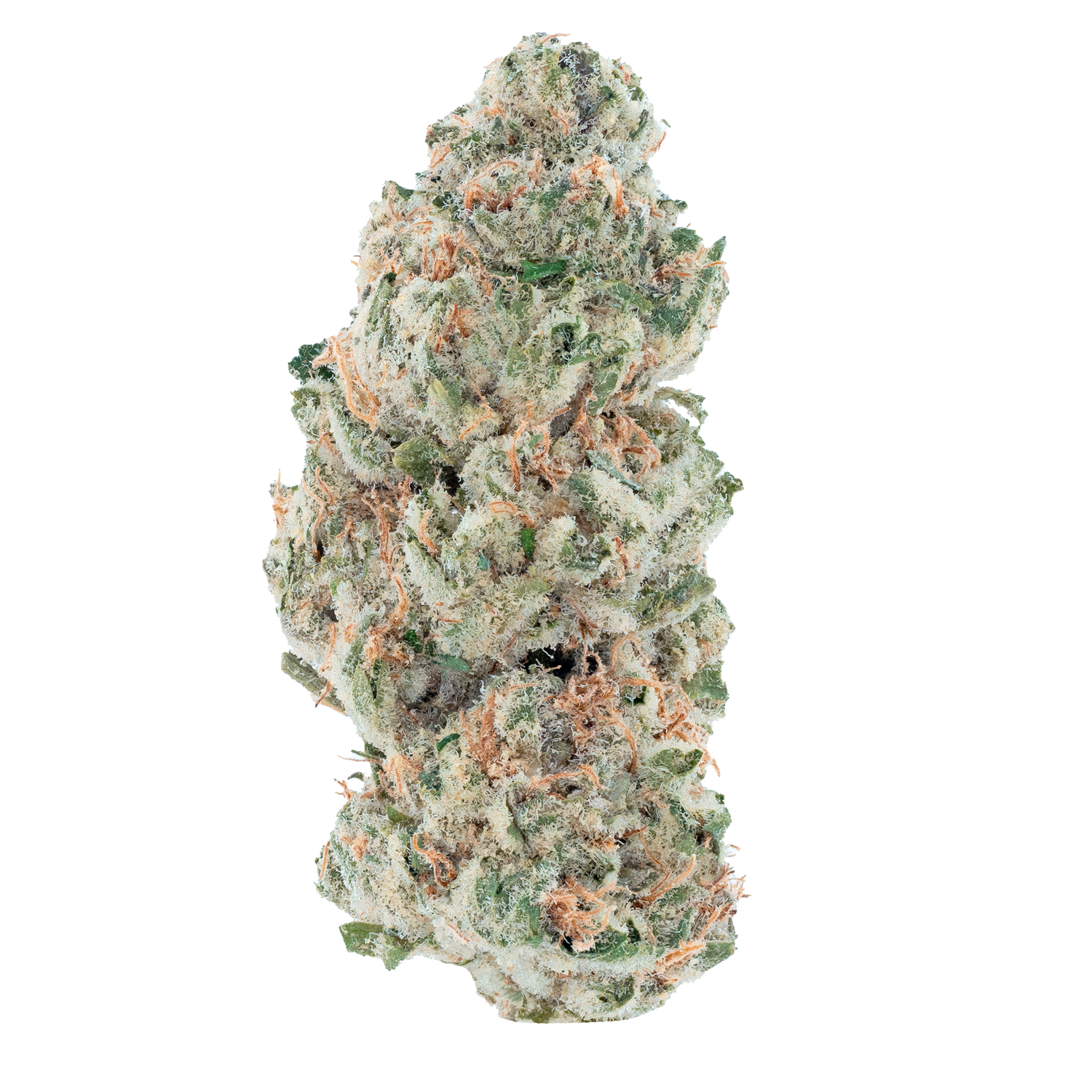 Bulk Indoor Flower