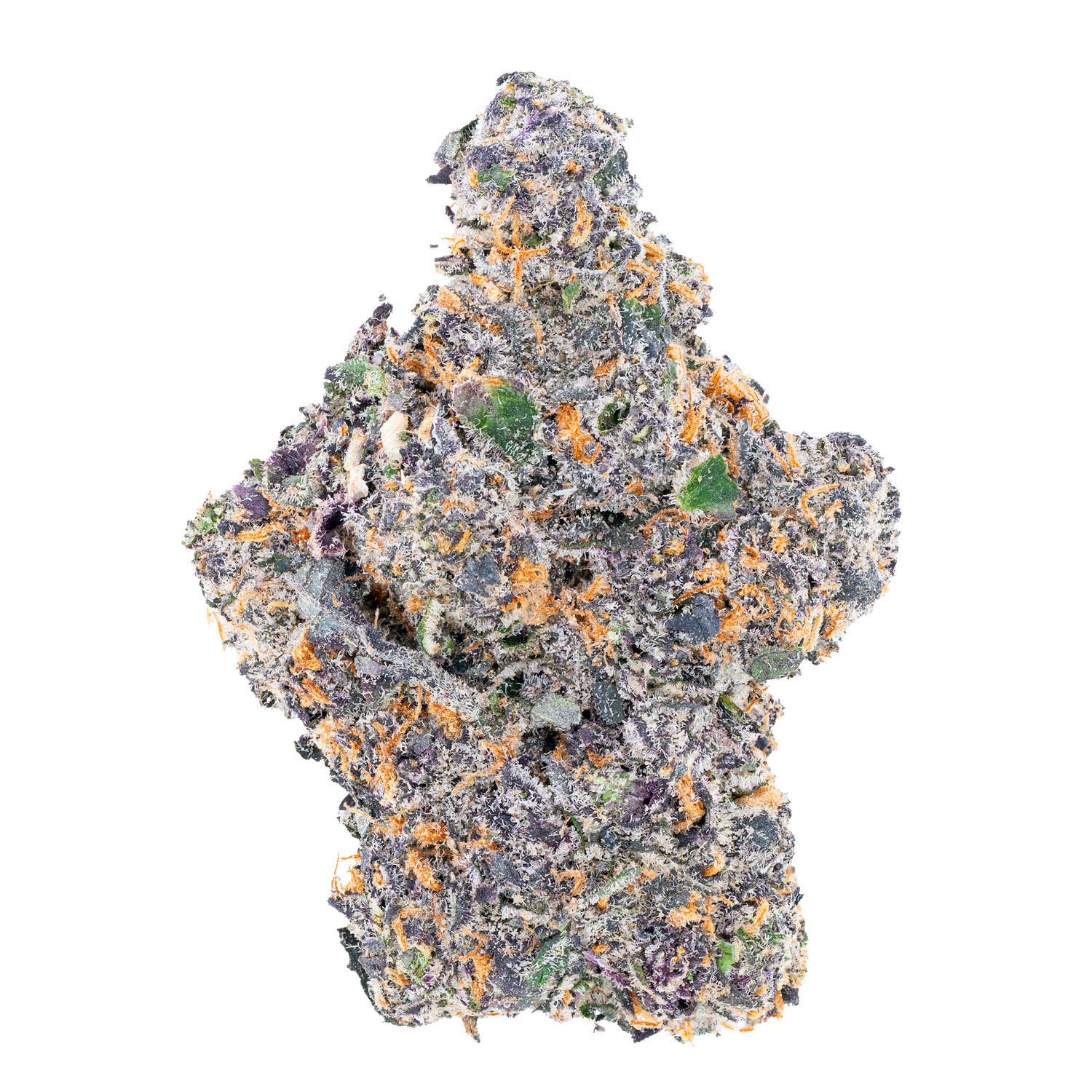 Bulk Exotic Flower