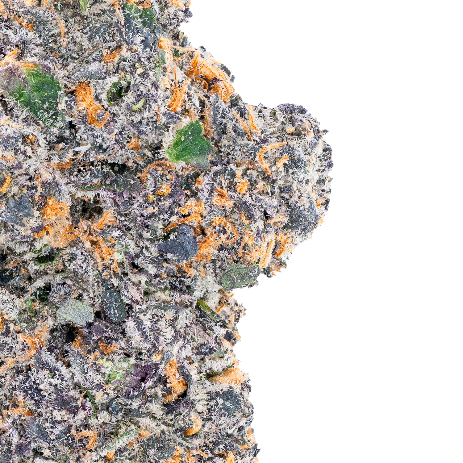 Bulk Exotic Flower